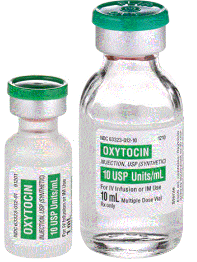 Endocrinology Series: Oxytocin, A Diverse Nanopeptide (Part 1)
